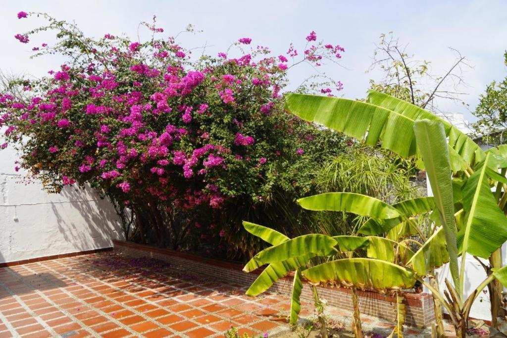 Hotel Mar Di Plata Barranquilla  Eksteriør bilde