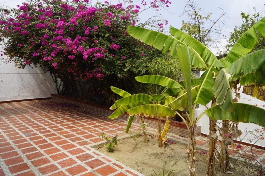 Hotel Mar Di Plata Barranquilla  Eksteriør bilde