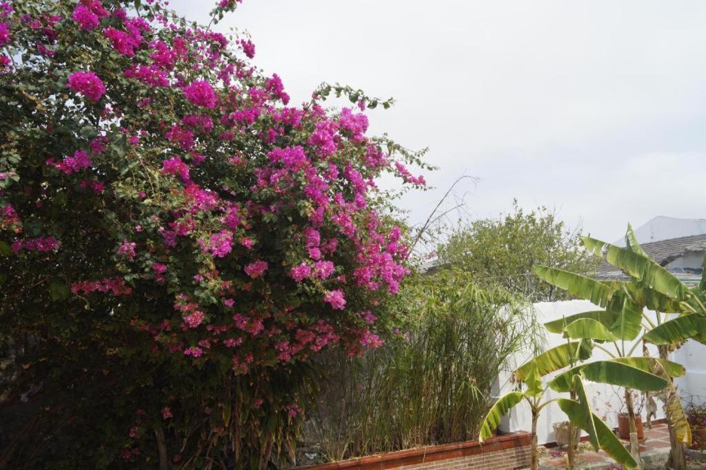 Hotel Mar Di Plata Barranquilla  Eksteriør bilde
